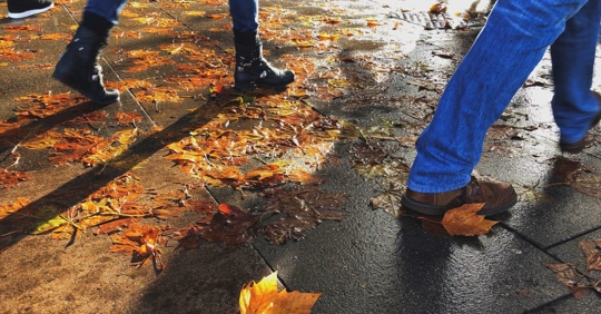 close up of three people's feet walking on a concrete sidewalk covered in fall foliage