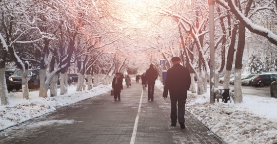 older people wearing winter attire walking on a stone, tree-lined path covered in snow